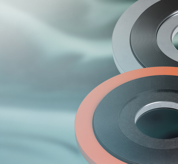 LSYZ series Metal gaskets